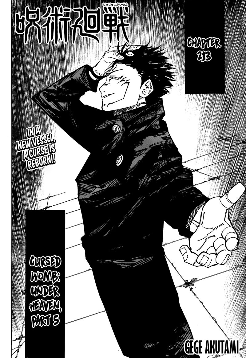 Jujutsu Kaisen Chapter 213 image 02